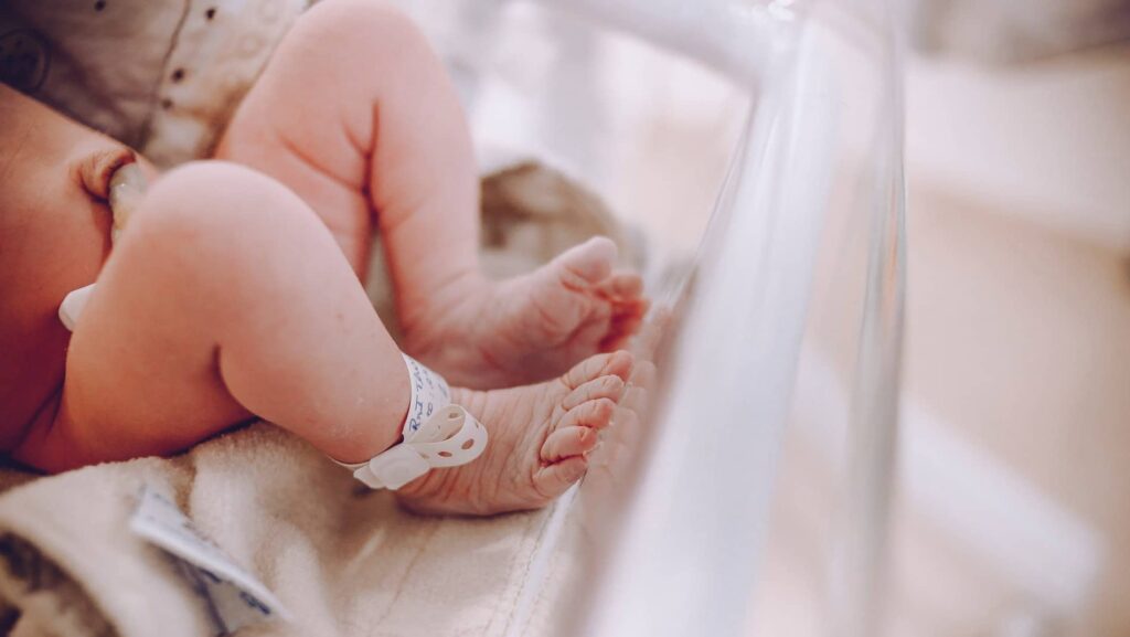 Nageboorte placenta
