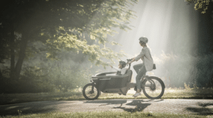 Wat kost een elektrische bakfiets
