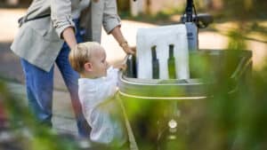 verzekering bakfiets