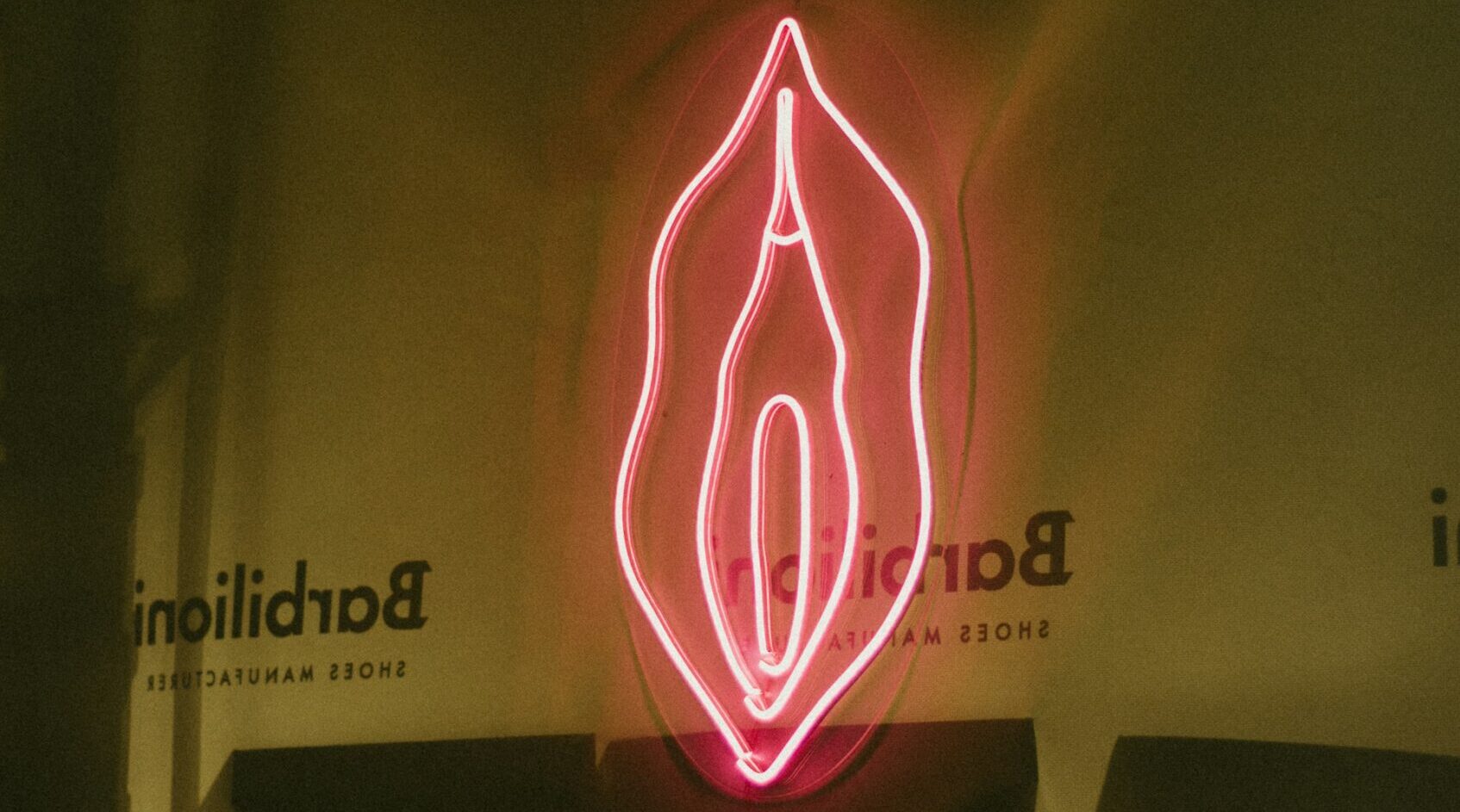 vagina vulva microbioom