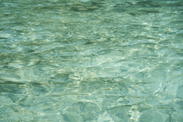 zomervakantie zee strand