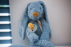 ervaring pleeggezin pleegouder