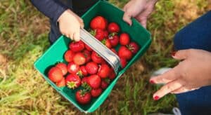 organix quality time kinderen